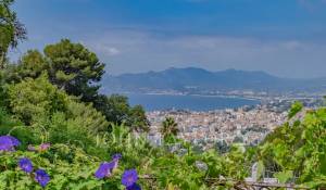 Venda Propriedade Cannes