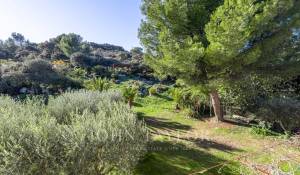 Venda Propriedade Cavaillon