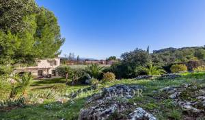 Venda Propriedade Cavaillon