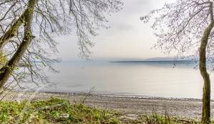 Venda Propriedade Crans