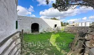 Venda Propriedade Es Castell