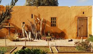 Venda Propriedade Essaouira