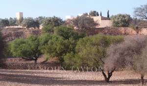 Venda Propriedade Essaouira