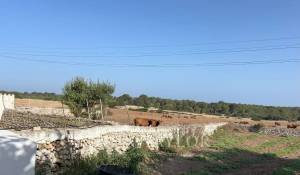 Venda Propriedade Ferreries