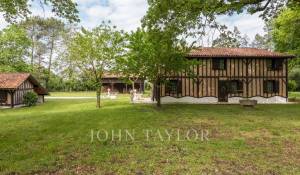 Venda Propriedade Gourbera