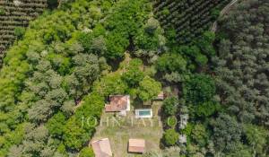 Venda Propriedade Gourbera