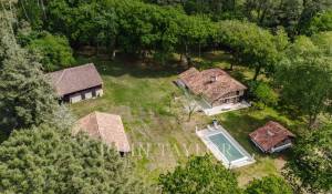 Venda Propriedade Gourbera