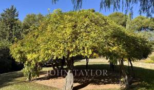 Venda Propriedade La Cadière-d'Azur