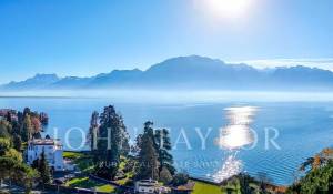 Venda Propriedade La Tour-de-Peilz