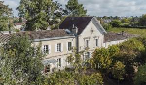 Venda Propriedade Libourne