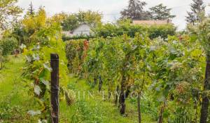 Venda Propriedade Libourne