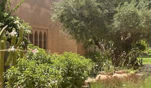 Venda Propriedade Marrakech