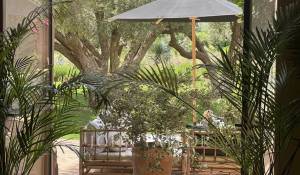 Venda Propriedade Marrakech