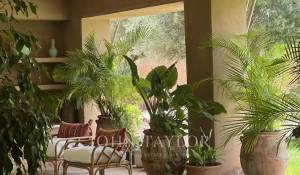 Venda Propriedade Marrakech