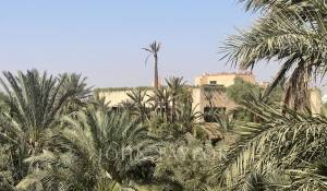 Venda Propriedade Marrakech