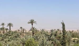 Venda Propriedade Marrakech