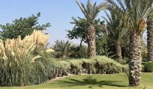 Venda Propriedade Marrakech