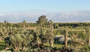 Venda Propriedade Marrakech