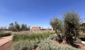 Venda Propriedade Marrakech