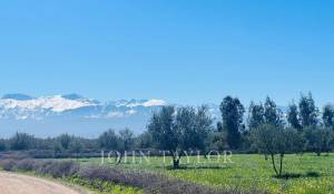 Venda Propriedade Marrakech