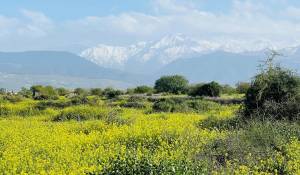 Venda Propriedade Marrakech