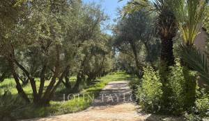 Venda Propriedade Marrakech