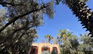 Venda Propriedade Marrakech