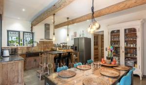 Venda Propriedade Ménerbes