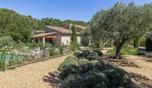 Venda Propriedade Ménerbes