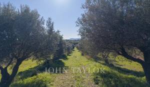 Venda Propriedade Ollioules