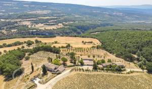 Venda Propriedade Oppedette