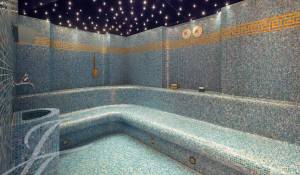 Venda Propriedade Plan-les-Ouates