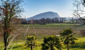 Venda Propriedade Presinge