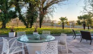 Venda Propriedade Presinge