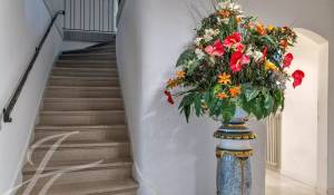 Venda Propriedade Presinge