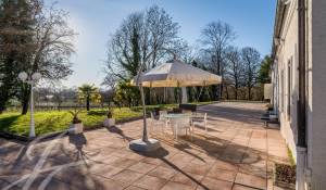 Venda Propriedade Presinge