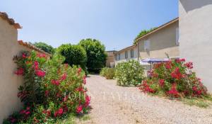 Venda Propriedade RIEZ