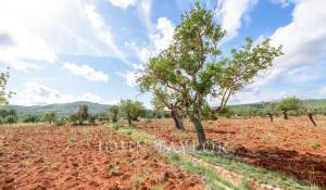 Venda Propriedade Santa Eularia des Riu