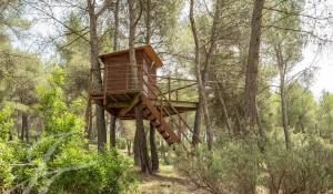 Venda Propriedade Simiane-Collongue