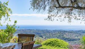 Venda Propriedade Vence