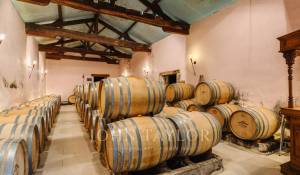 Venda Propriedade vinícola Bordeaux