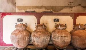 Venda Propriedade vinícola Bordeaux