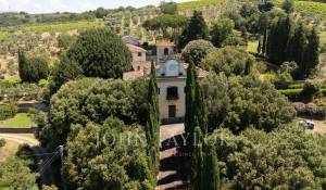 Venda Propriedade vinícola Firenze