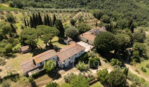 Venda Propriedade vinícola Firenze