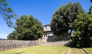 Venda Propriedade vinícola Firenze