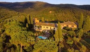 Venda Propriedade vinícola Greve in Chianti