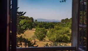 Venda Propriedade vinícola L'Isle-sur-la-Sorgue