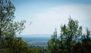Venda Propriedade vinícola L'Isle-sur-la-Sorgue