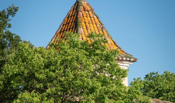 Venda Propriedade vinícola L'Isle-sur-la-Sorgue