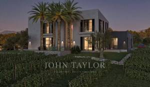 Venda Propriedade vinícola Moscari